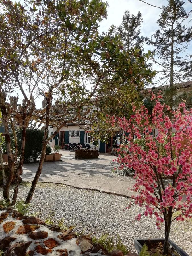 L'Auberge De Lugos Екстер'єр фото